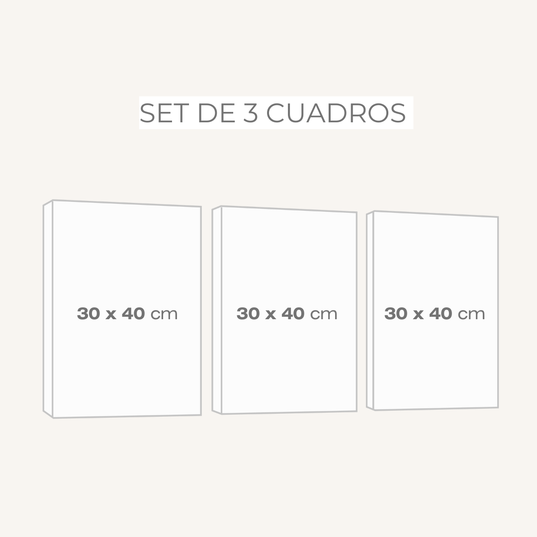 Set 3 cuadros infantiles Canvas León Elefante y Jirafa