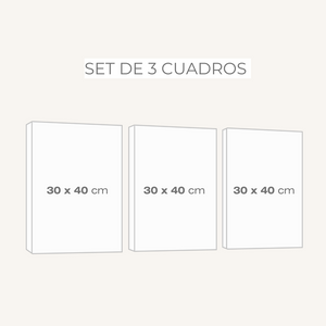 Set 3 cuadros infantiles Canvas León Elefante y Jirafa